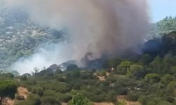 Kavaklıdere'de orman yangını