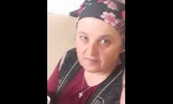 Eşek arısının soktuğu kadın hayatını kaybetti