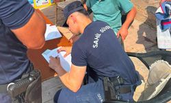 Marmaris’te kılıç balığını karaya çıkaran kişiye ceza