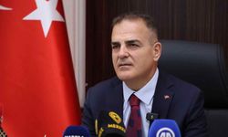 Muğla’da Sokak Hayvanlarının Yüzde 96’sı Toplandı