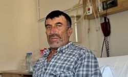 Milas'ta Üretici Ahırda Ölü Bulundu