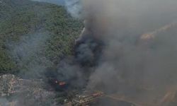 Göcek’te Orman Yangınına Havadan ve Karadan Müdahale