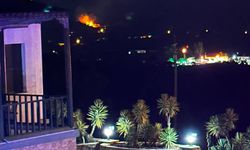 Ula’da Zeytinlik Alanda Yangın Çıktı