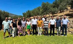 Datça Zeytin ve Badem Üreticileri Birliği Kuruldu