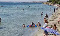 Artan deniz suyu sıcaklıkları yaz enfeksiyonlarını tetikliyor! Bu belirtilere dikkat edin