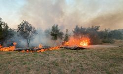 Muğla'da ot yangınına hızlı müdahale
