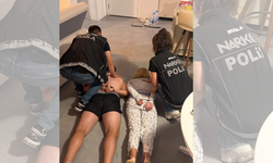 Interpol'ün aradığı zanlı Bodrum'da yakalandı