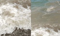 Bodrum’daki Deniz Kirliliğine Savcılık Soruşturması