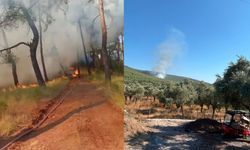 Muğla'da İki Ayrı Noktada Orman Yangını Çıktı, Ekipler Seferber Oldu