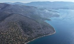 Milas'ta Yangının İzleri Havadan Görüntülendi