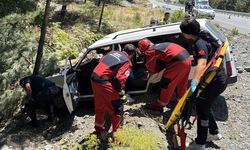 Muğla-Denizli Yolunda Otomobil Ağaca Çarptı: 2 Yaralı