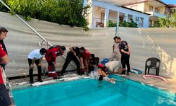 Muğla'da Havuzun Emiş Borusuna Sıkışan Çocuk Kurtarıldı