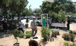 Pînaraltı Emekli Kafe Açılışa Hazırlanıyor
