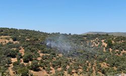 Bodrum Modern Evleri Yakınındaki Yangın Kontrol Altına Alındı