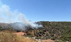 Bodrum Modern Evleri'nde Duman Alarmı: İtfaiye Ekiplerinin Müdahalesi Sürüyor