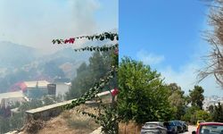 Bodrum Gümüşlük’te Alevler Yükseldi