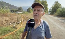 Alevler Zeytinliğini Aldı, O Mücadeleyi Bırakmadı