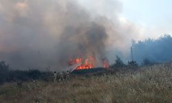 Muğla’da Ziraat Alanında Başlayan Yangın Ormana Sıçradı