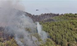 Muğla’daki İki Yangında Kritik Eşik Aşıldı