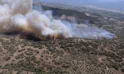 Aydın’da Ziraat ve Otluk Alanda Yangın!