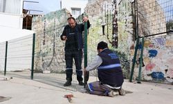 Bodrum Belediyesi atölyelerinde 6 ayda yoğun mesai