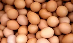 Yumurta fiyatlarına zam geldi! Fiyatlar bel büküyor