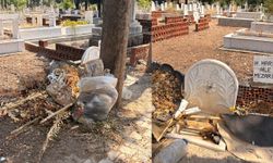 Ula’da Mezarlık Çöplüğe Döndü: Vatandaş İsyan Etti