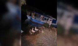 Akyaka Azmak Nehri’nde balıkçı tekneleriyle kaçakçılık