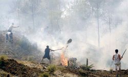 Muğla’da Yangına Karşı Tek Yürek