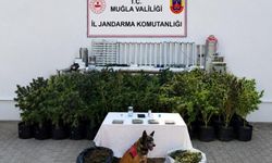 Bodrum’da Eve Baskın: 10 Kilo Skunk Ele Geçirildi