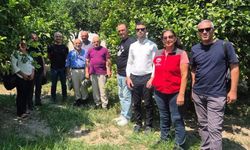 Muğla’da turunçgil üretiminde biyolojik mücadele sürüyor