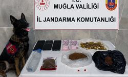 Muğla'da Kaçakçılığa Darbe: 24 Operasyon