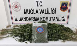 174 Şüpheli Yakalandı, 33'ü Tutuklandı