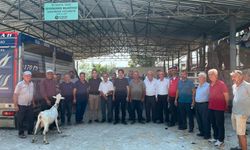 Yangında Hayvanlarını Kaybeden Çiftçilere Can Suyu