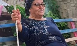 Muğla’da İncir Toplamak İçin Çıktığı Ağaçtan Düştü, Hayatını Kaybetti