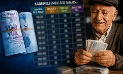 2000-2008 Girişlilere Kademeli Emeklilik Son Dakika Açıklaması Geldi!