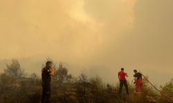 Muğla’da Her 10 Yangından 7’sinin Nedeni İnsan