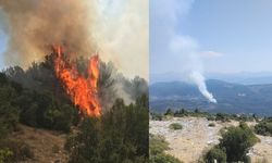 Muğla'da Orman Yangını: Ekipler Bölgeye Sevk Edildi