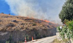 Bodrum Akyarlar’da yangın paniği