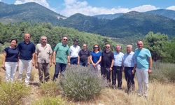 Fethiye’ye Distilasyon Tesisi İçin Yerinde İnceleme