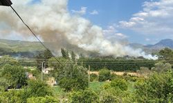 Seydikemer’de orman yangını: Havadan ve karadan müdahale başladı