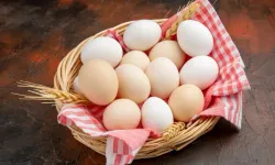 Yumurta fiyatları katlandı! Fiyat artışları başladı