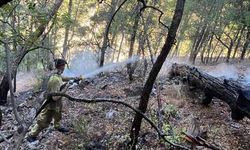 Dalaman’daki yıldırım kaynaklı yangın söndürüldü