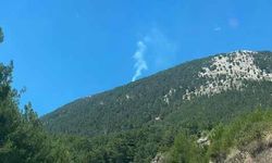 Fethiye Nif’te çıkan orman yangını söndürüldü