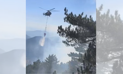 Fethiye’de alevler kontrol altına alındı