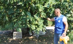 Muğla’da üreticiye çevre dostu destek