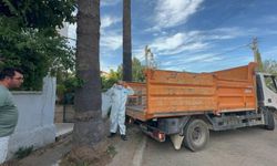Marmaris’te kötü koku ihbarı gerçeği ortaya çıkardı