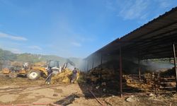 Seydikemer’de arazi yangını 10 dönümü etkiledi