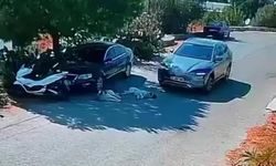 Bodrum’da iki köpeğin üzerinden geçti, durmadan uzaklaştı