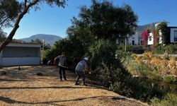 Bodrum’da ot temizliği: 400 bin metrekare aşıldı
